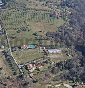 Foto annuncio 13