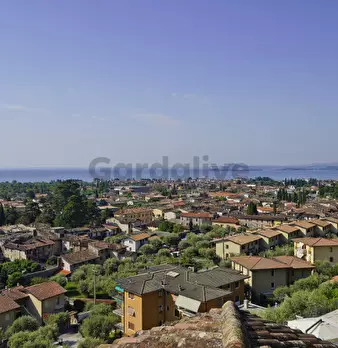 Foto annuncio 19