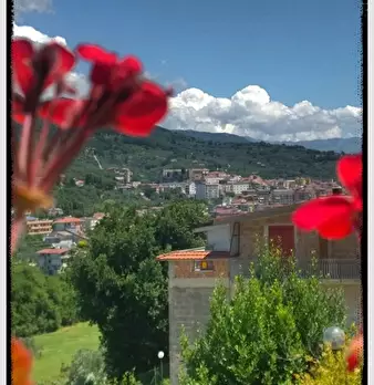 Foto annuncio 3