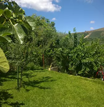 Foto annuncio 5