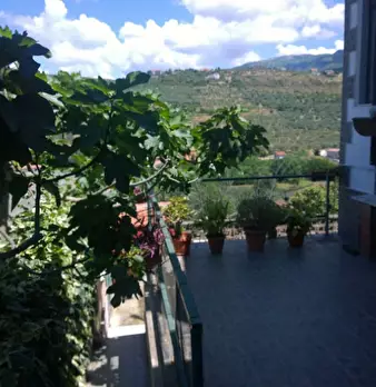 Foto annuncio 6