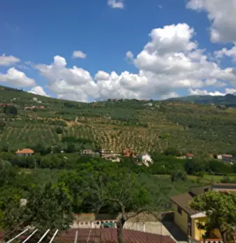 Foto annuncio 7