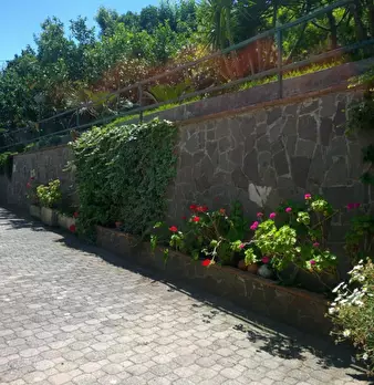 Foto annuncio 10