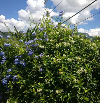 Foto annuncio 11