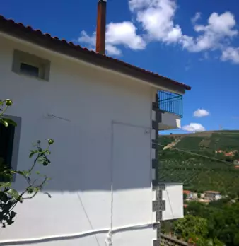 Foto annuncio 12