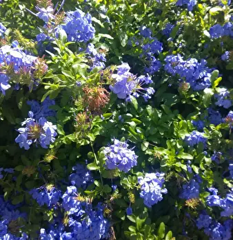Foto annuncio 13