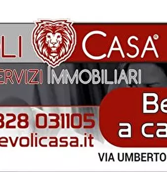 Foto annuncio 24