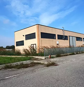 Foto annuncio 9