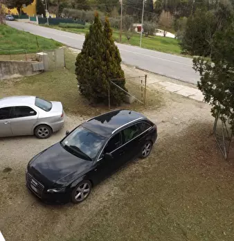 Foto annuncio 12