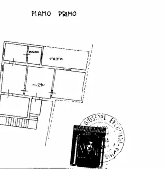 Foto annuncio 31