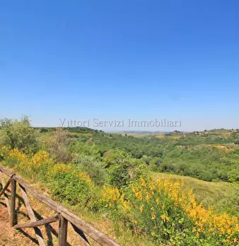 Foto annuncio 38