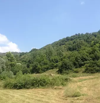 Foto annuncio 2