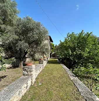 Foto annuncio 31