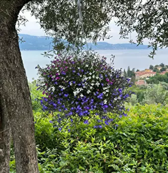 Foto annuncio 32