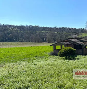 Foto annuncio 5