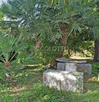 Foto annuncio 26