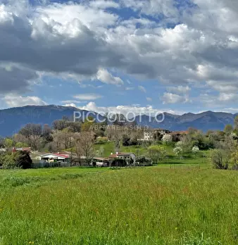 Foto annuncio 31