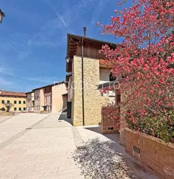 Foto annuncio 19