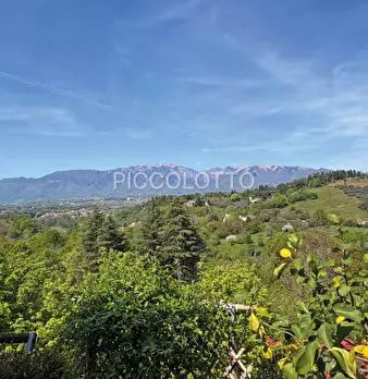 Foto annuncio 20