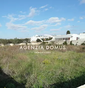 Foto annuncio 2