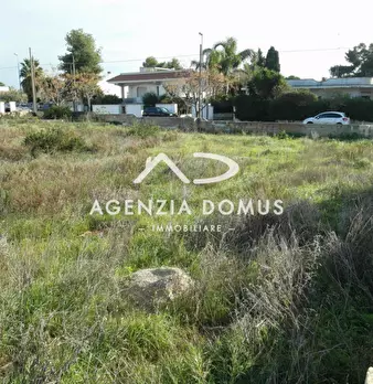 Foto annuncio 6
