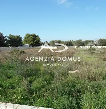Foto annuncio 7