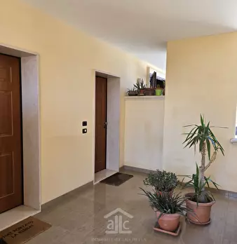 Foto annuncio 48