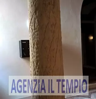 Foto annuncio 11