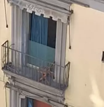 Foto annuncio 6
