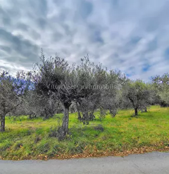Foto annuncio 15