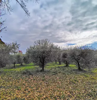 Foto annuncio 17