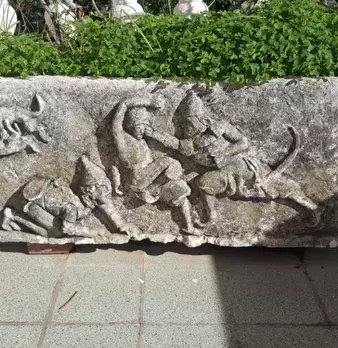 Foto annuncio 13