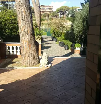 Foto annuncio 24