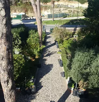 Foto annuncio 39
