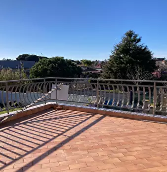 Foto annuncio 46