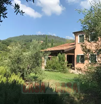 Foto annuncio 2