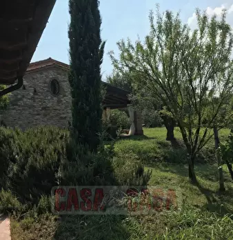 Foto annuncio 22
