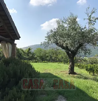 Foto annuncio 23