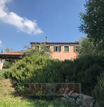 Foto annuncio 26