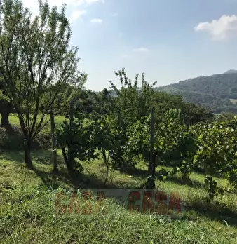 Foto annuncio 35