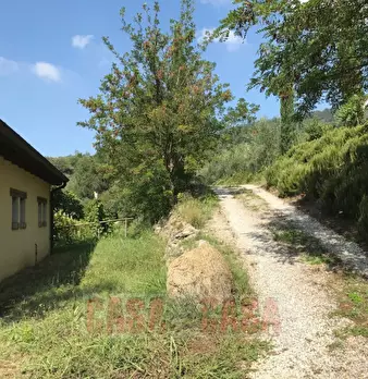 Foto annuncio 42