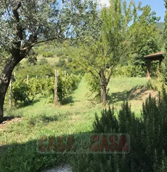 Foto annuncio 47