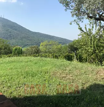 Foto annuncio 48
