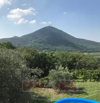 Foto annuncio 53