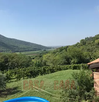 Foto annuncio 54