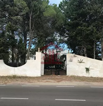 Foto annuncio 1