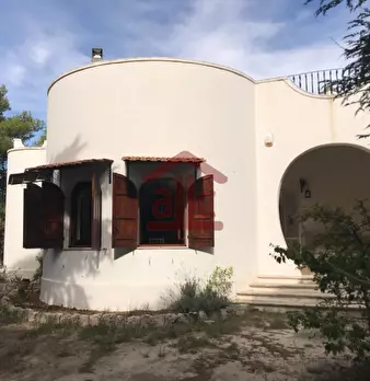 Foto annuncio 2