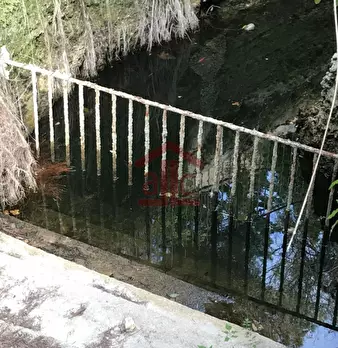 Foto annuncio 43