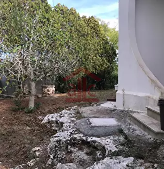 Foto annuncio 47
