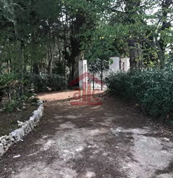 Foto annuncio 49